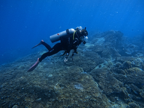 PADI Open Water Diver Course