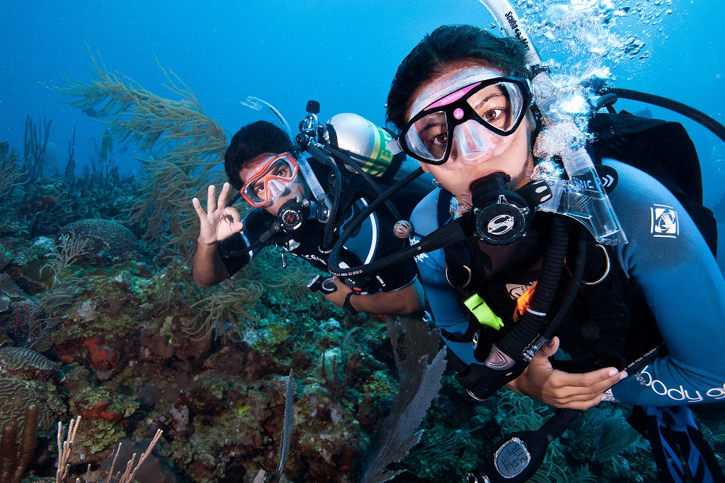  Hon Bac New dive site!    Separate site, outstanding reef  