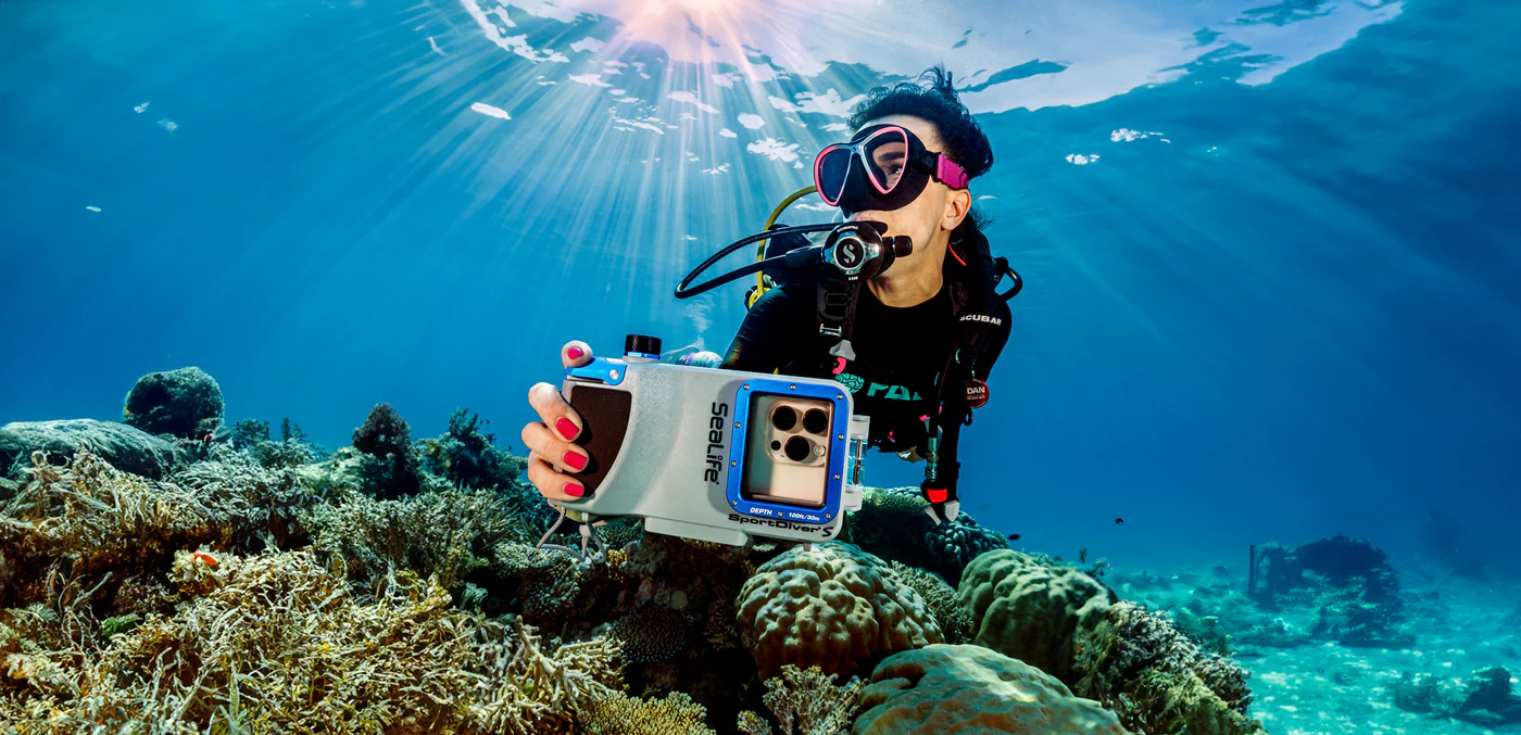  Discover Nha Trang Diving sites    Join our daily trip to beautiful spots  