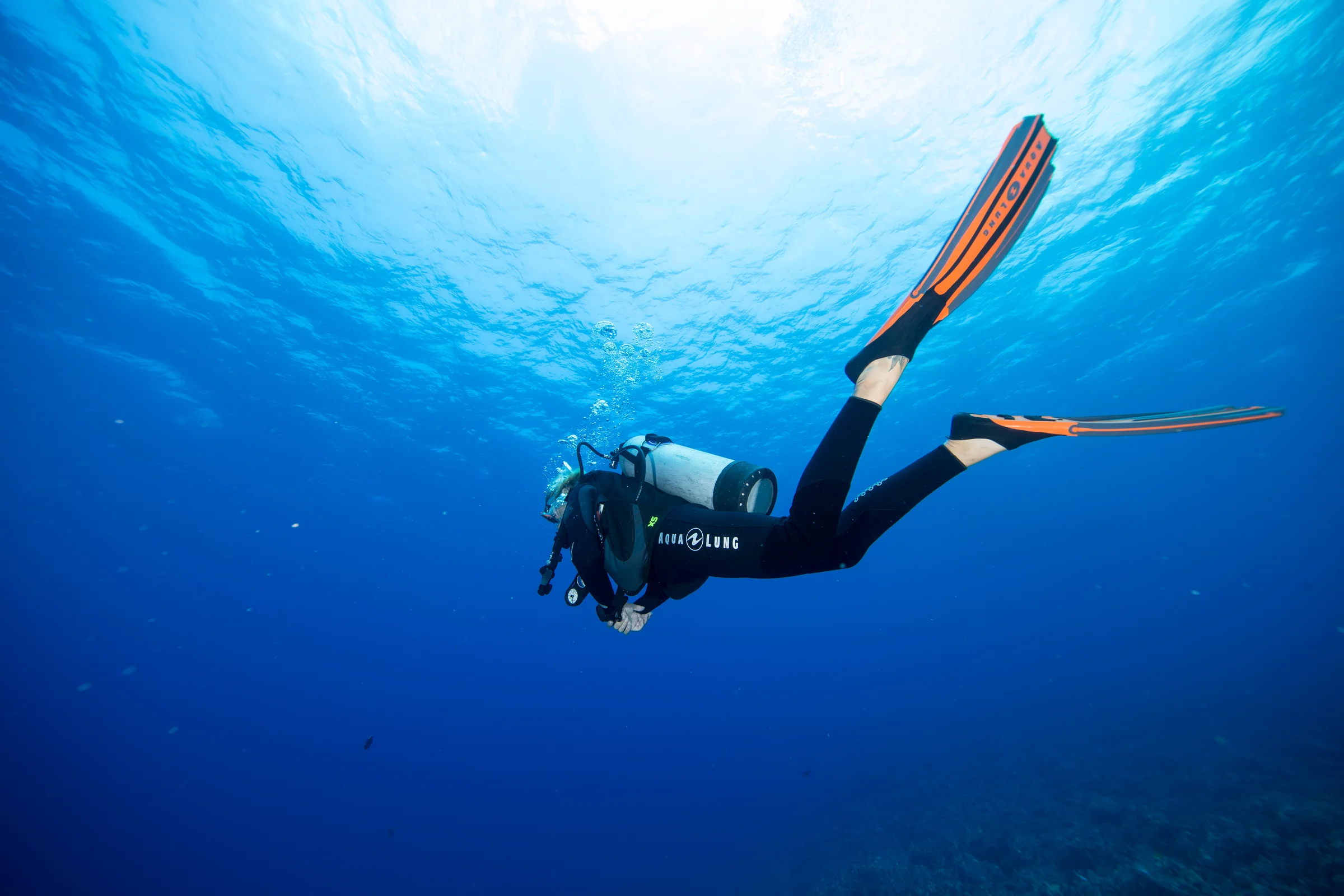  Become a diver With Ecodive    We provide full range of PADI certification  